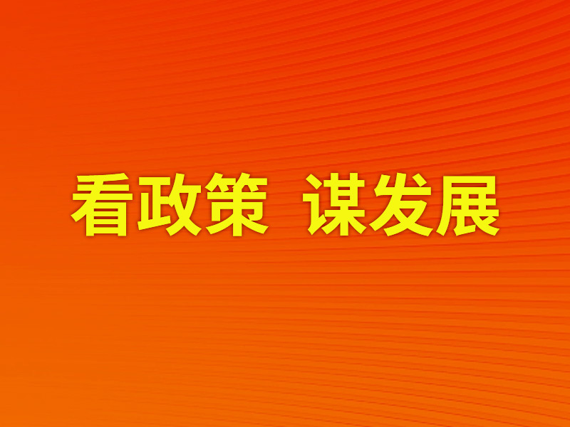 看政策，谋发展