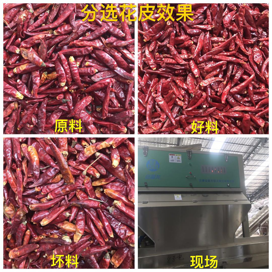 色选机|食品|再生料|矿石|履带色选机