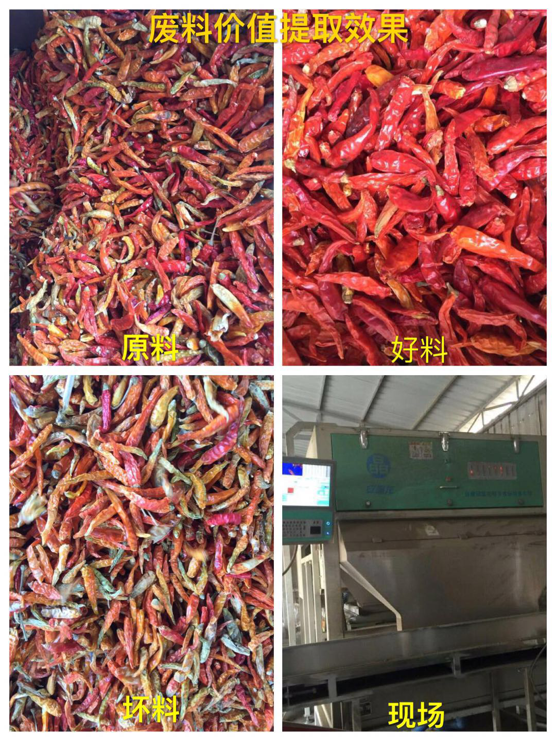 色选机|食品|再生料|矿石|履带色选机