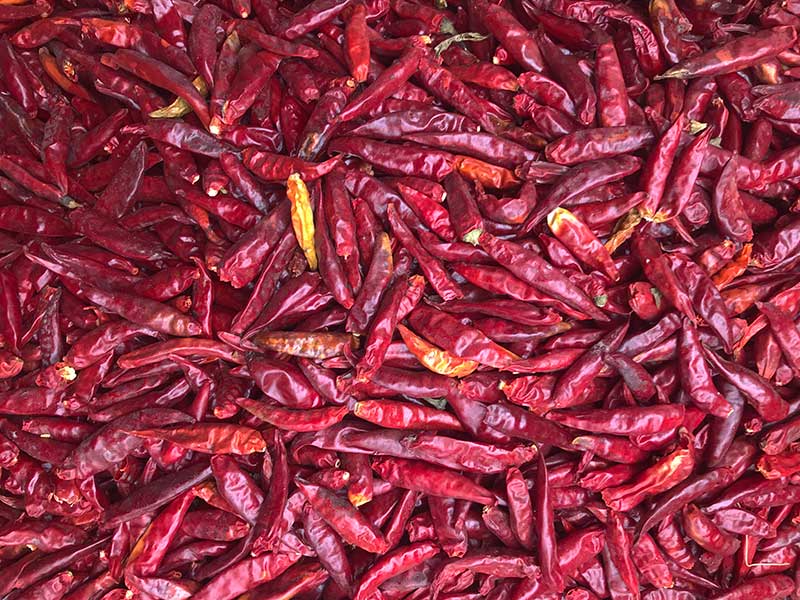 山东金乡-辣椒-李-3028处，原料.jpg