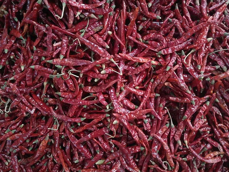 印度-辣椒-Sharma-5041处，辣椒选把，原料.jpg