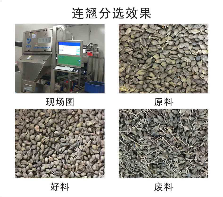 图片关键词