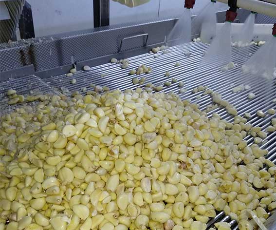 色选机|食品|再生料|矿石|履带色选机 色选机|食品|再生料|矿石|履带色选机